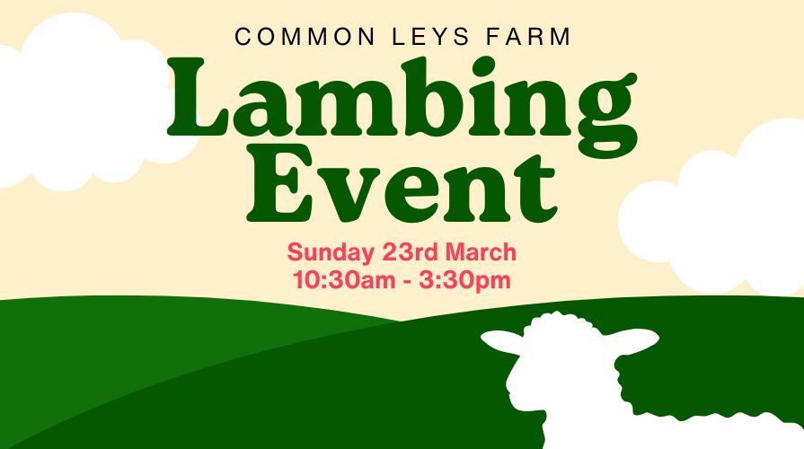 Lambing Event at Common Leys Farm