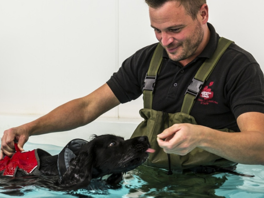 Canine Hydrotherapy Centre