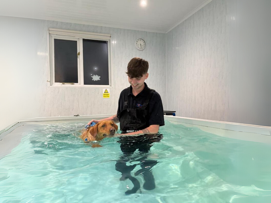 Alumnus Harvey makes a splash in Canine Hydrotherapy and Rehabilitation