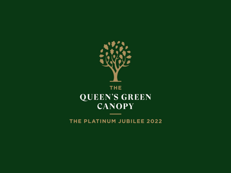 Agriculture students getting involved with sustainability by taking part in the Queen’s Green Canopy