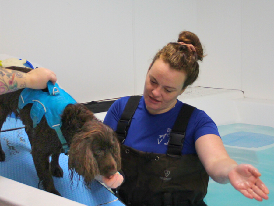 Staff Spotlight: Veterinary Rehabilitation Clinic Offers Real Life Experience for Animal Therapy Students
