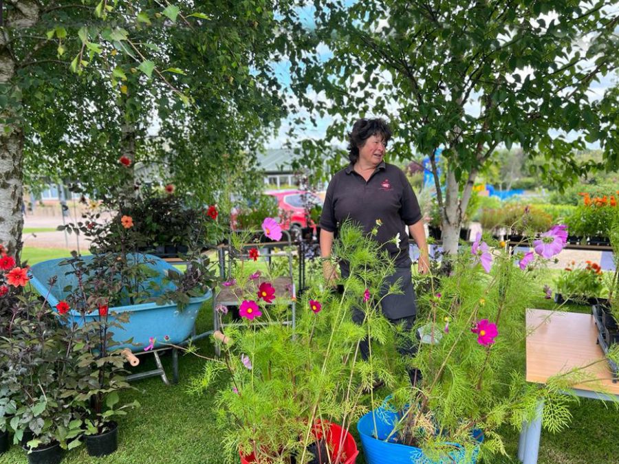 Down on the farm at Common Leys